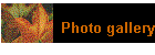 Photo gallery